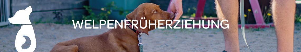 Welpenfrüherziehung