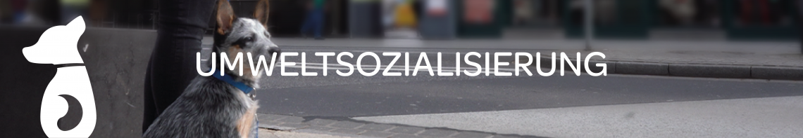 Umweltsozialisierung