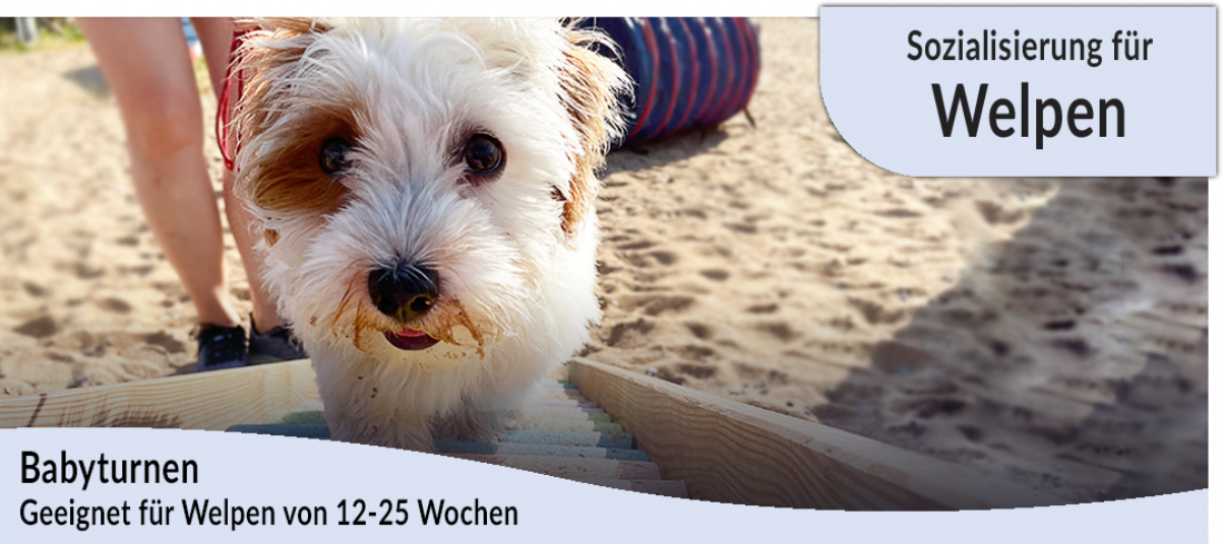 Welpen-Event: Babyturnen