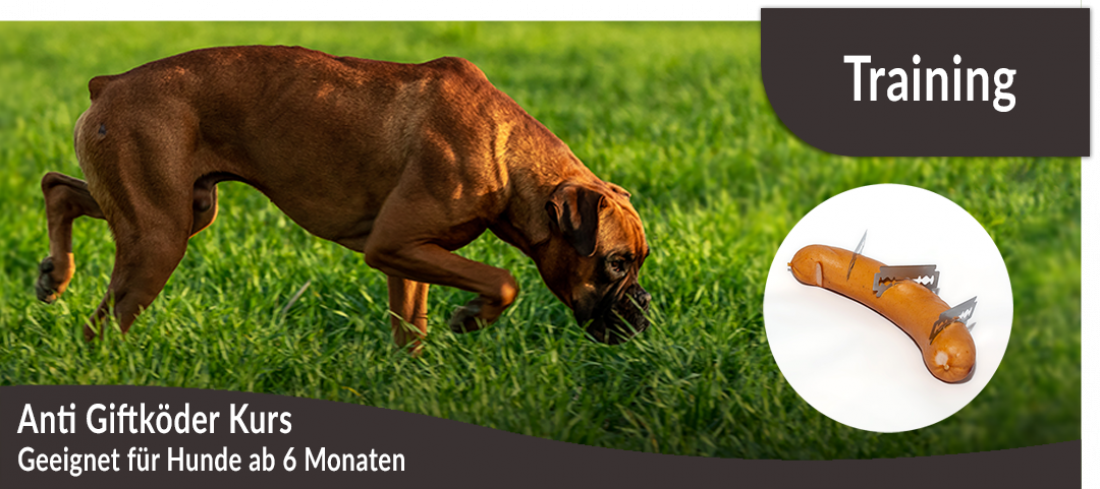 Anti-Giftköder-Kurs