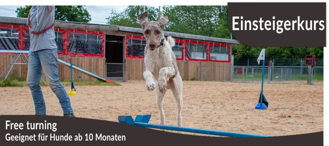 Einsteigerkurs: Free turning