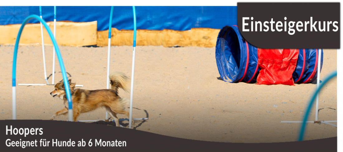 Einsteigerkurs: Hoopers