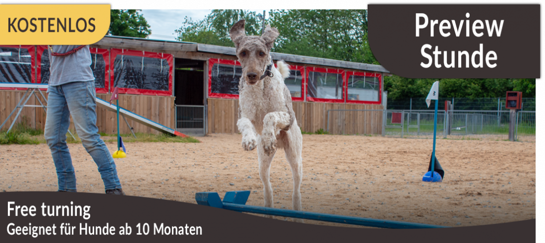 Preview-Stunde: Free turning 