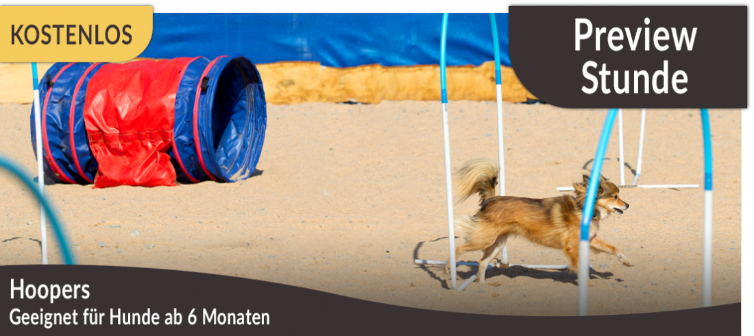 Preview-Stunde: Hoopers
