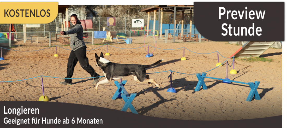 Preview-Stunde: Longieren
