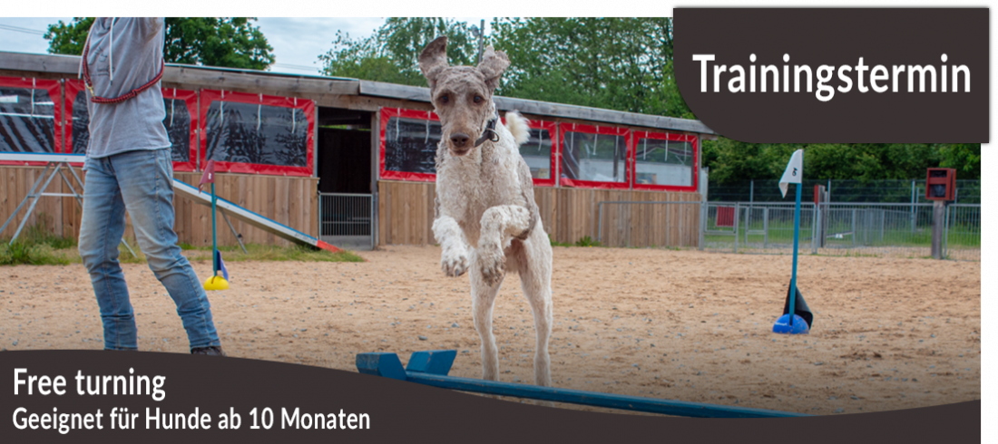 Trainingstermin: Free turning 