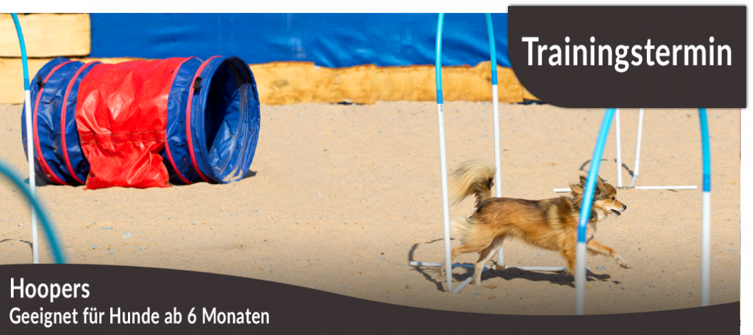 Trainingstermin: Hoopers 