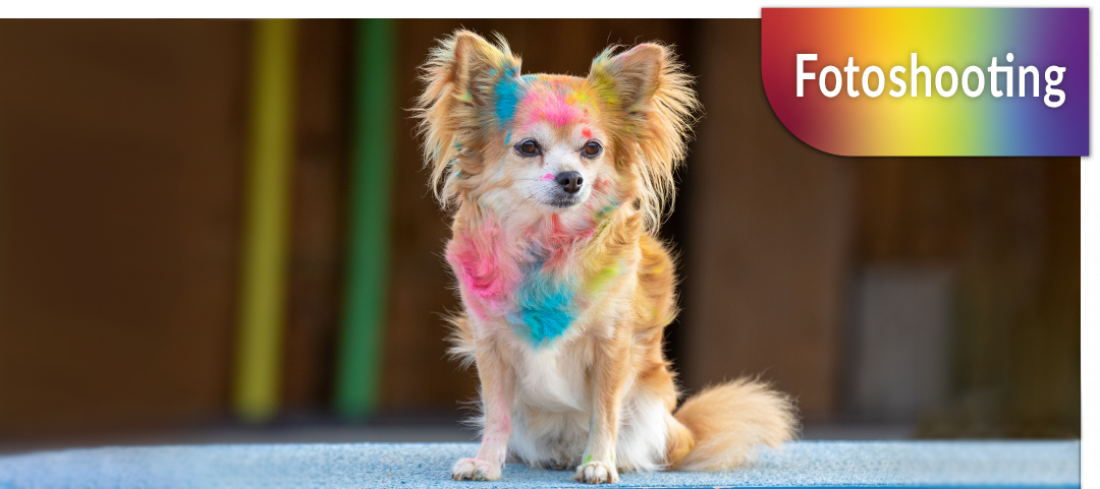 Fotoshooting: Holi Pulver