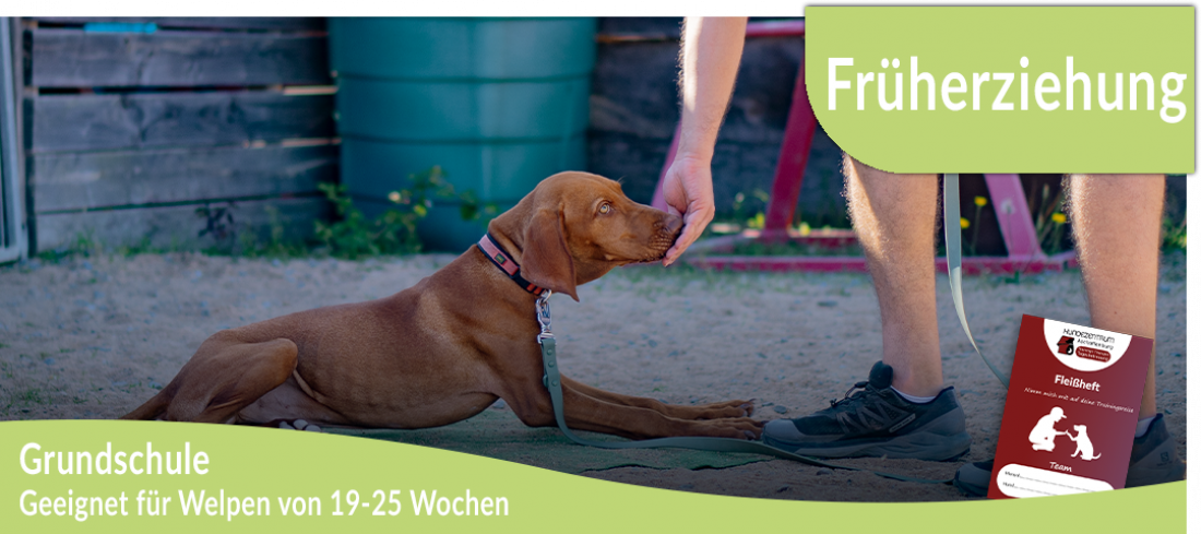 Welpen: Grundschule