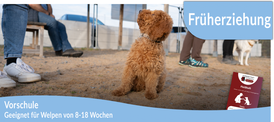 Welpen: Vorschule