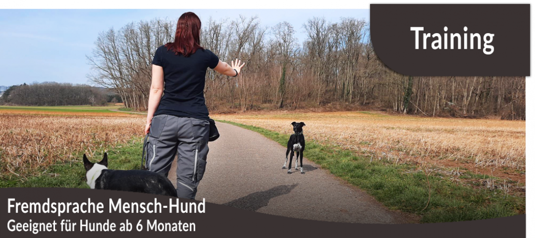 Fremdsprache Mensch-Hund