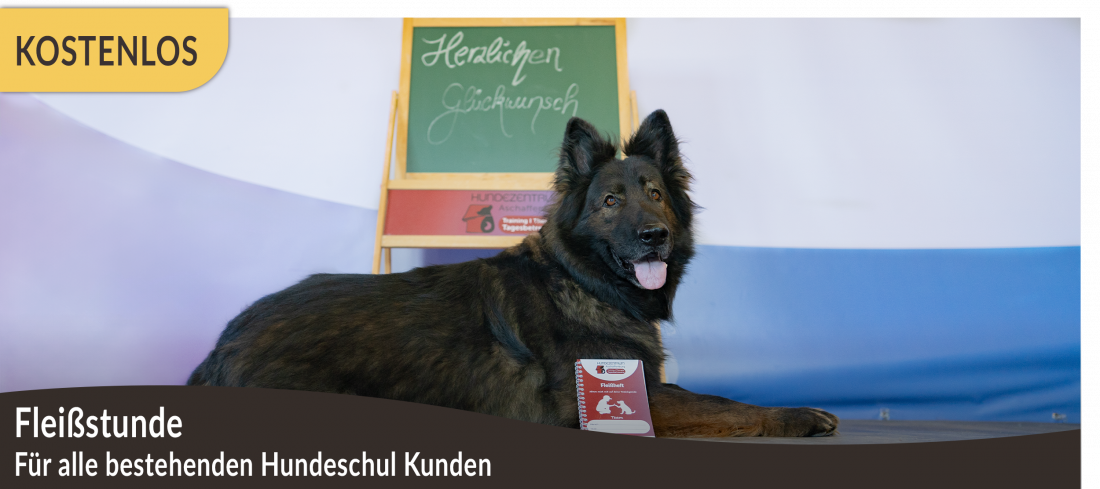 kostenlose Fleißstunde – Zeigt, was in euch steckt!