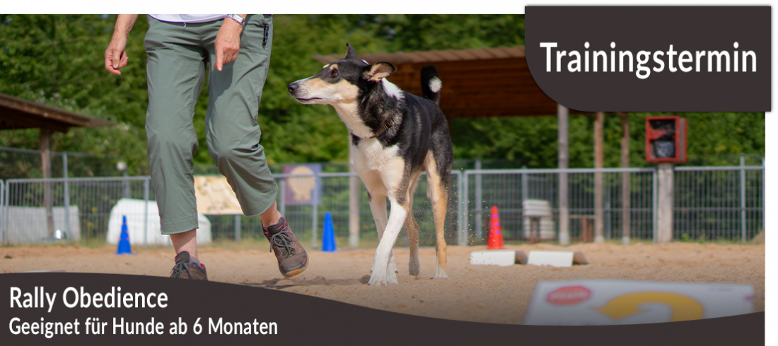 Trainingstermin: Rally Obedience