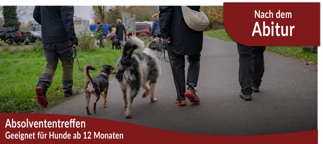 Absolvententreffen