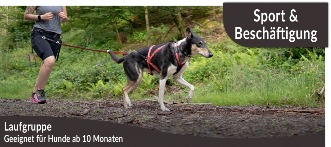 Schlammpfoten Laufgruppe