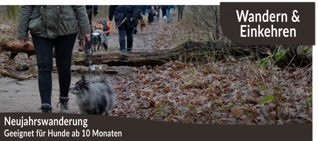 Neujahrswanderung