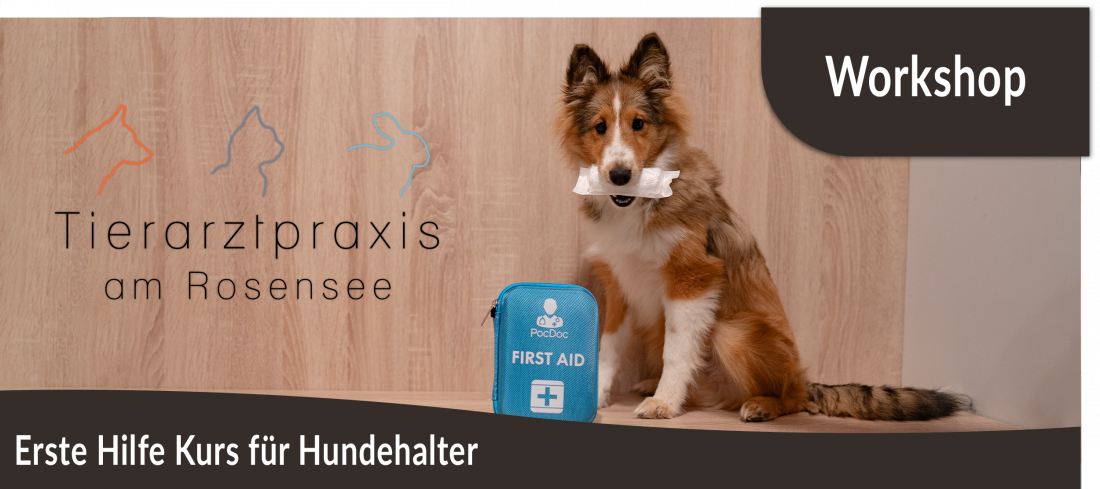 Erste Hilfe Kurs für Hundehalter