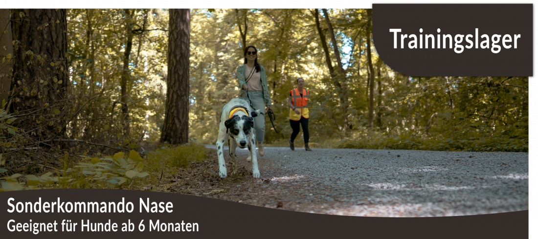 Trainingslager: Sonderkommando Nase - Mantrailing in der Rhön