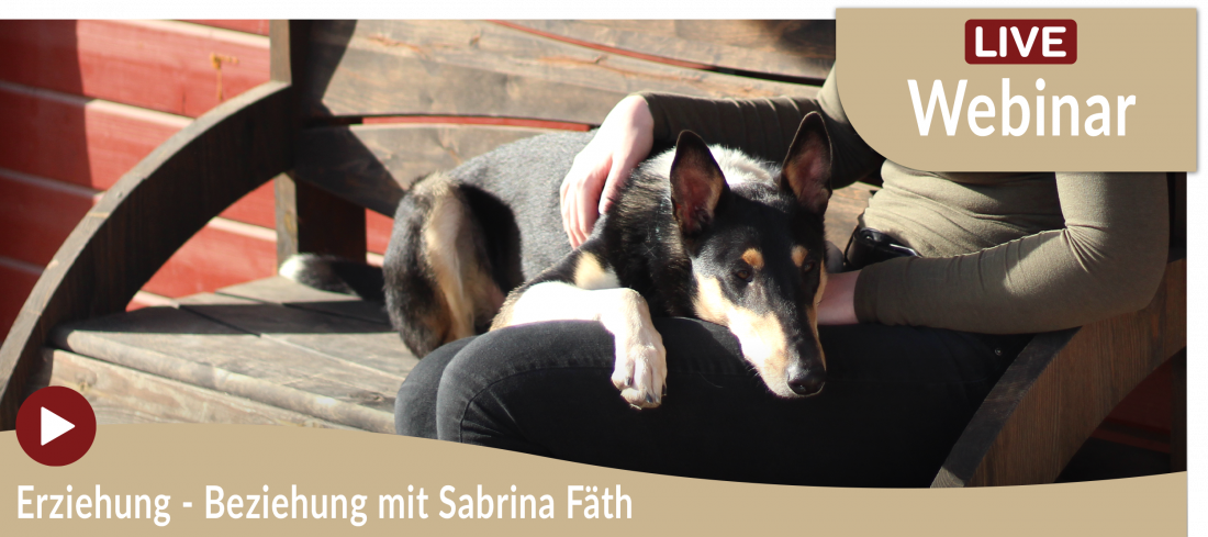 Webinar: Erziehung - Beziehung mit Sabrina Fäth