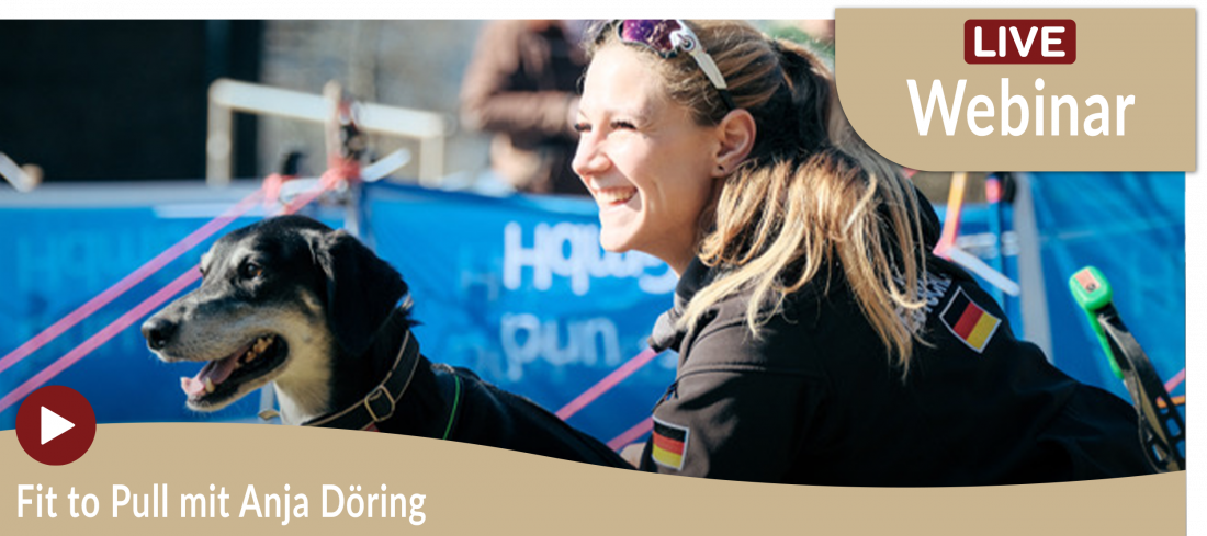 Webinar: Fit to Pull - Warm-up, Cooldown & planvolles Zugtraining mit Anja Döring