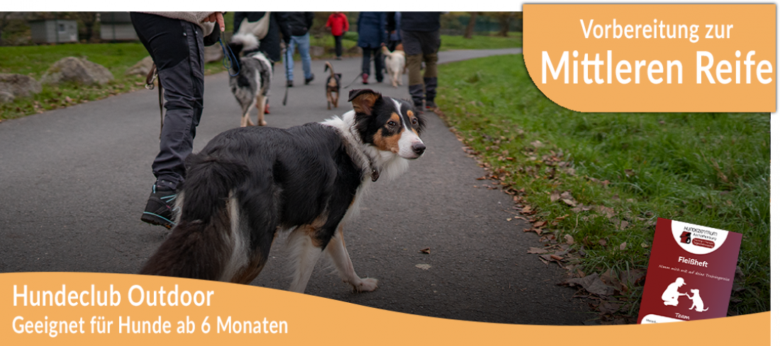 Hundeclub: Outdoor