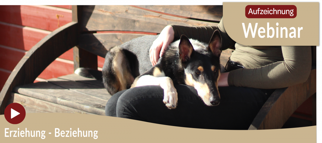 Webinar Aufzeichnung: Erziehung - Beziehung 