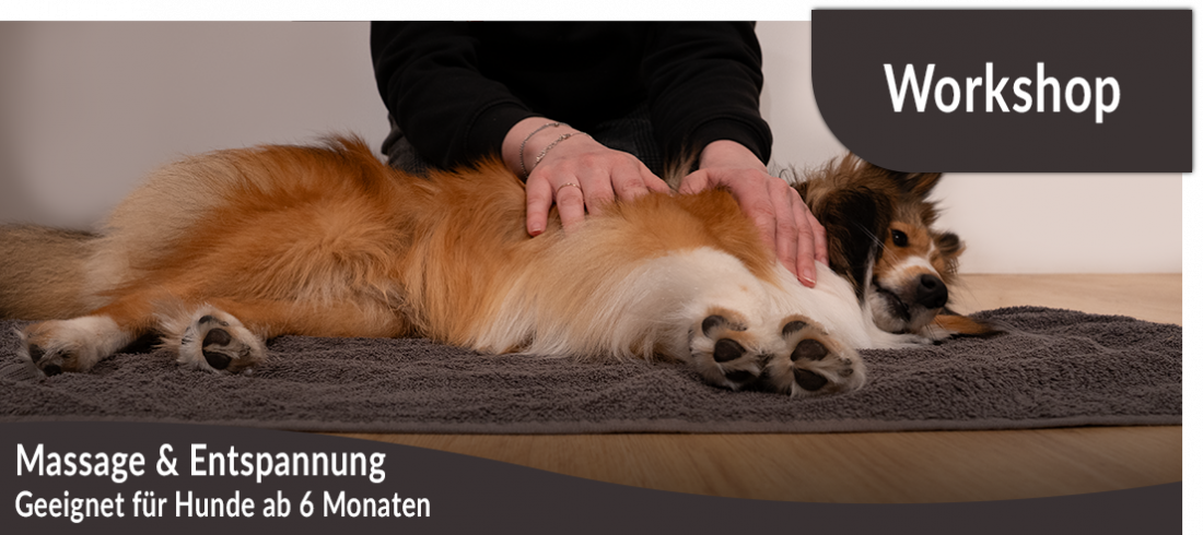 Workshop: Massage & Entspannung