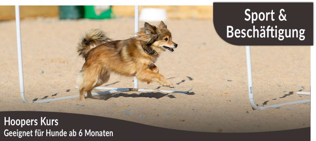 Hoopers-Kurs
