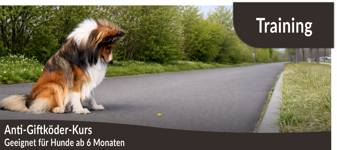Anti-Giftköder-Kurs