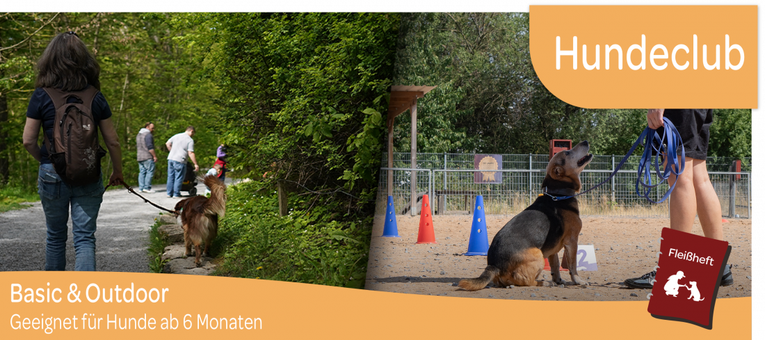 Hundeclub: Basic and Outdoor